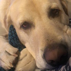 Meet your Posher, Patrick